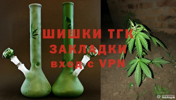 ГАЛЛЮЦИНОГЕННЫЕ ГРИБЫ Абаза